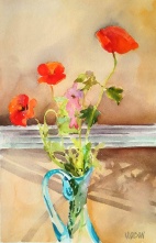 Spanish Poppies in front of Window