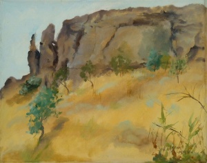 A small cliff with signs of errosion and a field of golden grass and small trees standing here and there on the slope